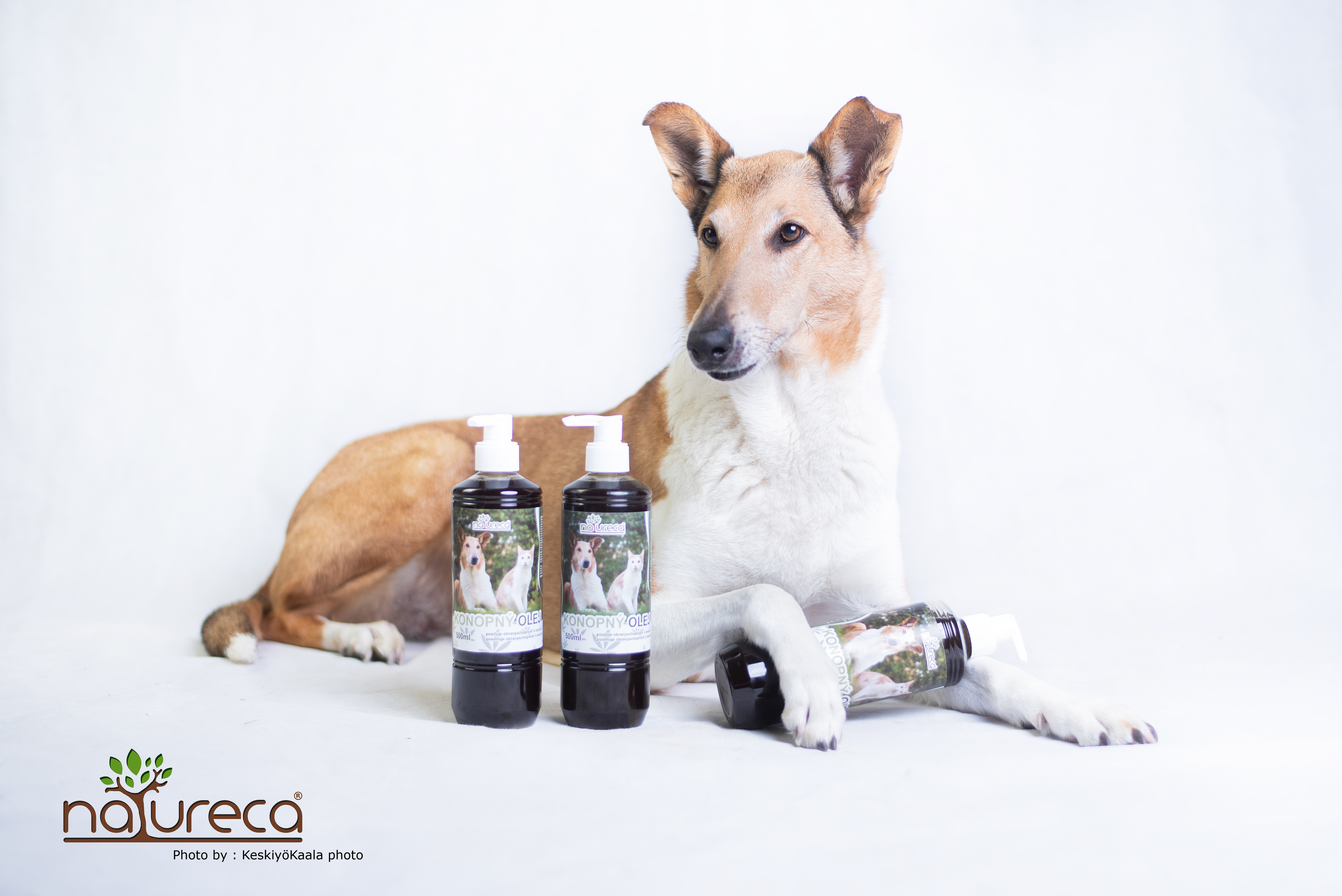 Natureca® zdravé oleje